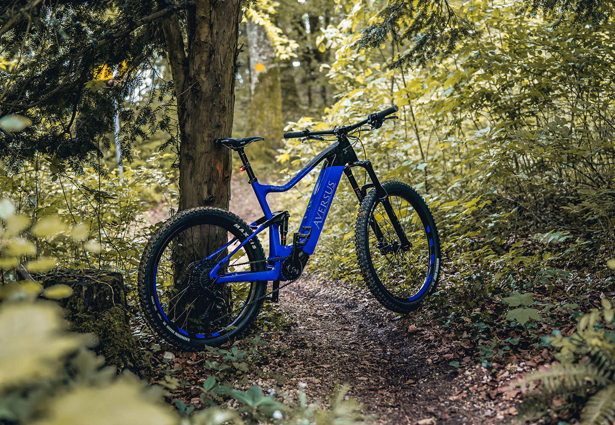 E-Bikes